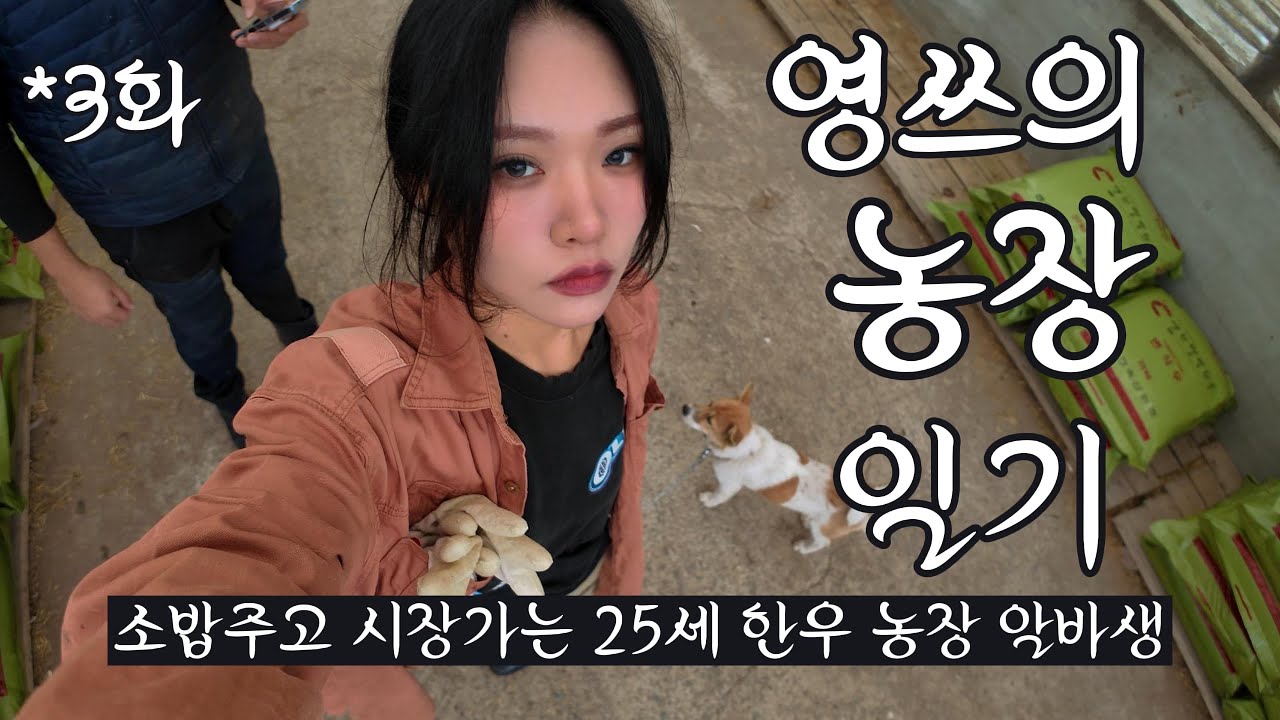 25세 한우 농장 알바생의 하루ㅣ한우농장ㅣ귀농일기ㅣ청년농부ㅣ꿈바우 시장 장날