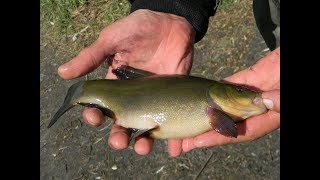 Рыбалка с ночевкой. A trip with a friend on an overnight fishing trip.