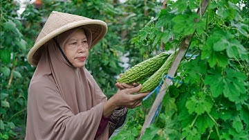 Memetik Sayur Pare di Kebun | Memasak Oseng Pare dan Teri, Sambal Pete | Minuman Hangat Wedang Ronde