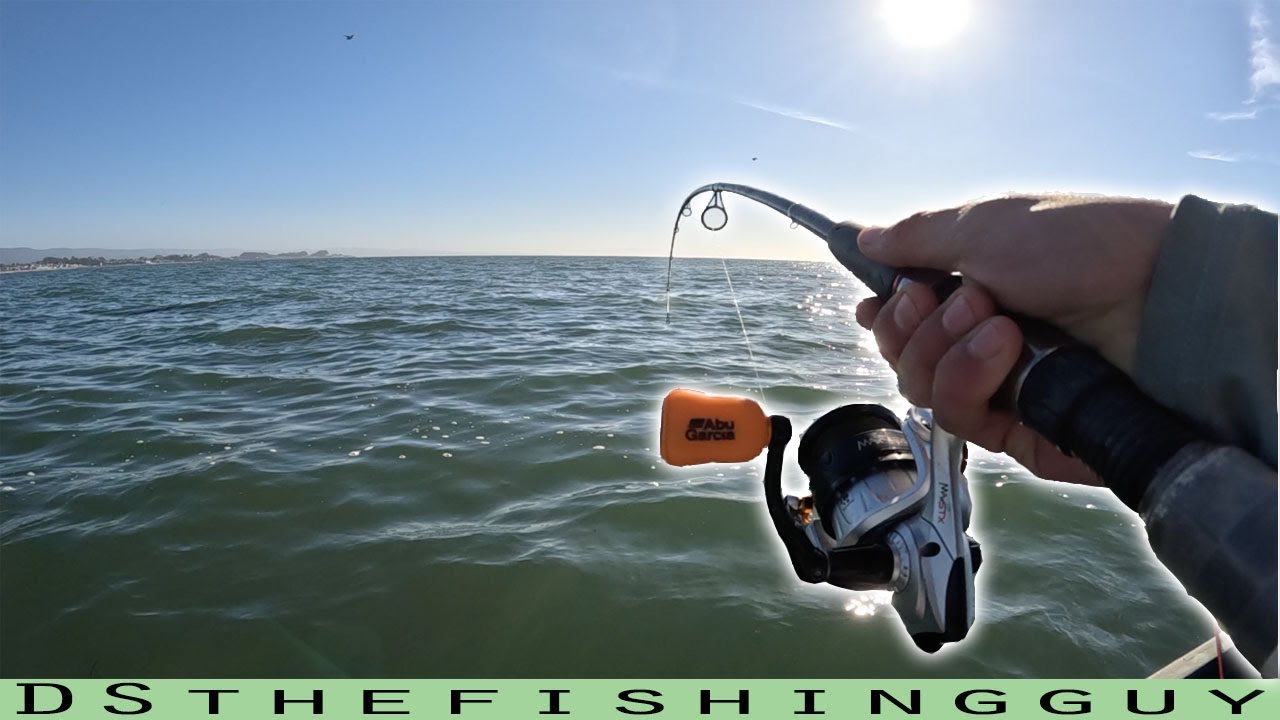 Santa Cruz has Monster Fish (Santa Cruz Boat Rentals)