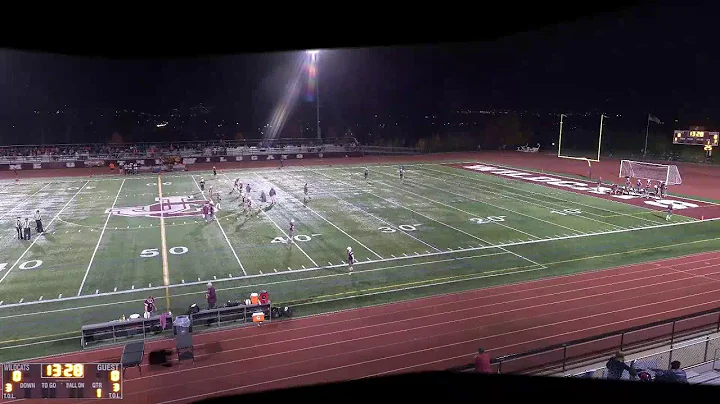Section IV Class D Semi-Final Tioga vs Spencer Van...
