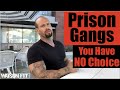 Prison gangs you have no choice