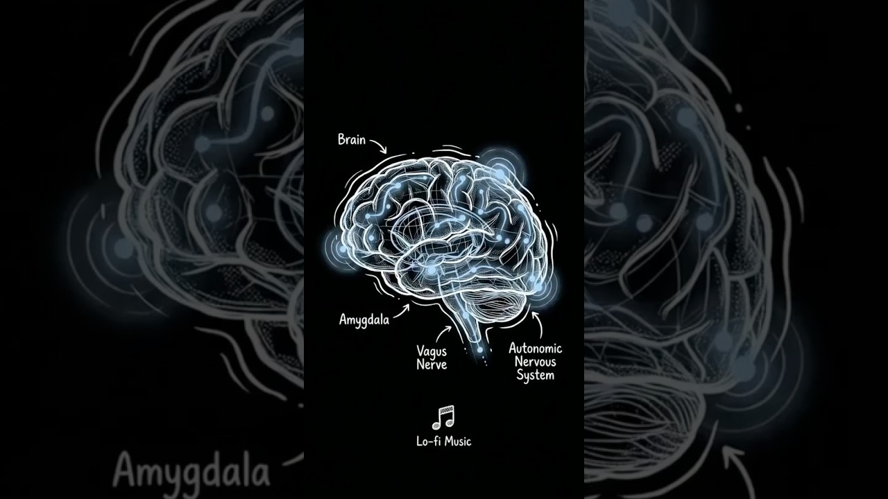 How Sound Can Calm Your Brain’s Stress Response