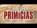 🔴  CULTO DE PRIMÍCIAS - Pr, FELIPE LIMA | IGREJA TIMOTHY#cultodesantaceiadosenhor#cultoonline
