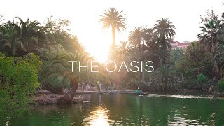 THE OASIS | A cinematic sequence | Sony A7S III + 50mm