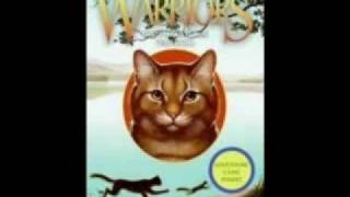 Warriors The Forgotten Warrior