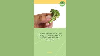 How To Tell if Broccoli Is Bad