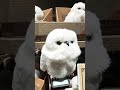 Hedwig white owl toy #cute #amazing #harrypotter #store #merchandise