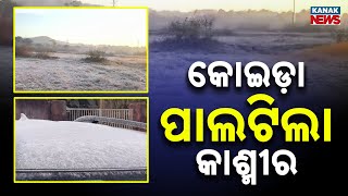 Frost Hits Koida As Cold Wave Sweeps Sundargarh