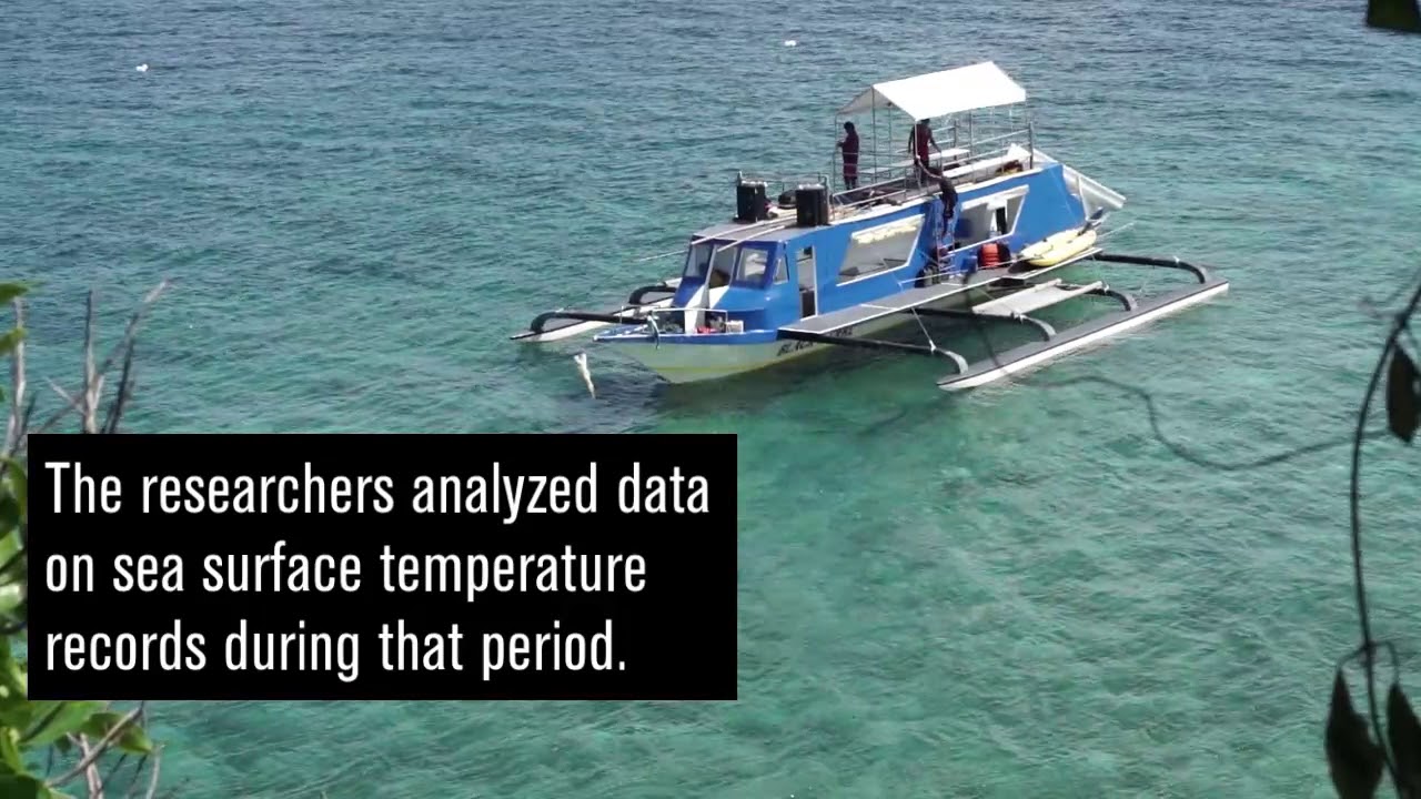 Sea Of Cortez Water Temperature Chart