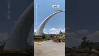 Zoológico de León reporta sobrepoblación de flamingos en su hábitat