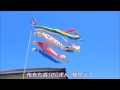 宇和島市 鯉のぼり 唱歌 宇和島パブダックス