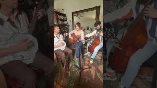 @SierraFerrell - I Could Drive You w @annaxxkimm #bluegrass #banjo #violadagamba #sierraferrell