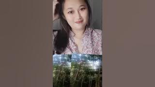 live rose white