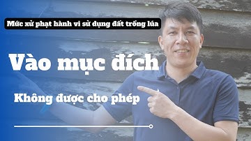 Mức xử phạt hành vi sử dụng đất trồng lúa vào mục đích không được cho phép I Hà Văn Linh