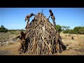 A House from Forest Sticks - Full Build - Hamer of Ethiopia