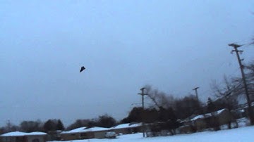 E.D.I (Stealth-Drone)..UCAV Unmanned Combat Air Vehicle Also known as the (Tin Man).