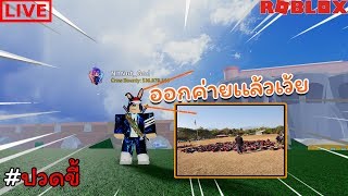 🔴Live : Roblox One Piece Open Seas หาเเมพเล่นกัน+รับเพื่อนด้วยงับผม✨!!? [โดเนทขึ้นจอ 0963515491