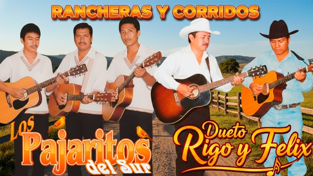 Los Éxitos Que Nunca Fallan 🤠 Dueto Rigo y Félix & Los Pajaritos del Sur | Rancheras y Corridos