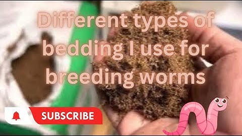 How I setup different types of Red Wiggler breeding bins#wormcomposting #redwigglers #vermicompost