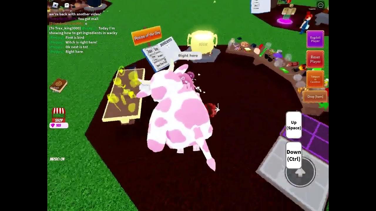 How to get ingredients in wacky wizards youtube