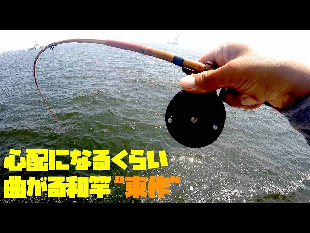 東作さんの和竿でヘチ釣り、黒鯛を釣る！