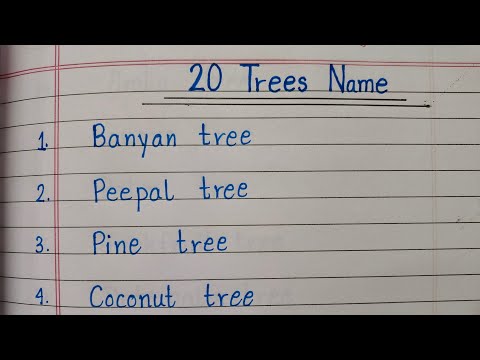 20 Trees Name