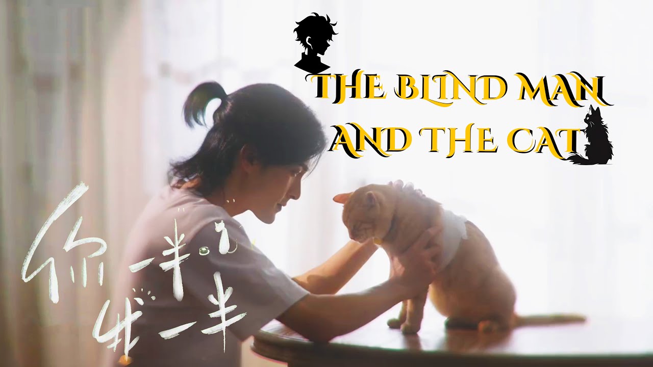 Short Film | The Blind Man and the Cat | Love is the Miracle You've Been Waiting For