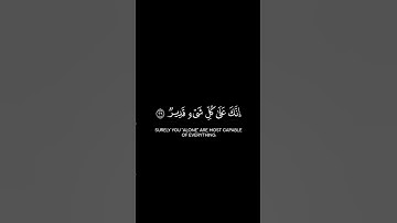 🌿|تِــــلاوَة ما تيسر من سُورَةُ آلِ عِمۡرَانَ #القرآن #سورة_آل_عمران  #Quran #راشد_الحليبة