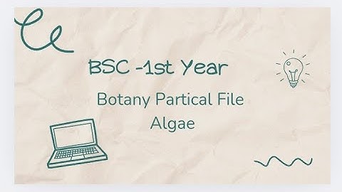 Botany - Algae , BSC-1 st year  Botany partical File  with  classification.