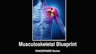 Musculoskeletal PANCE/PANRE Review Course Preview