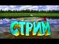 стрим рр3.99 оф туры и тд!