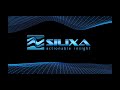 About Silixa 2021