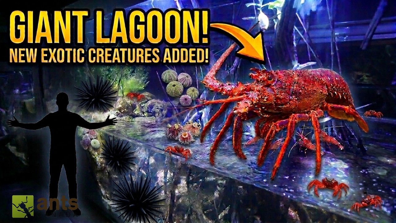 Latest Title & Thumbnail