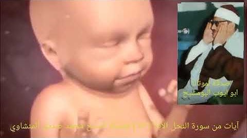 الشيخ المنشاوي _ ولله غيب السموات والأرض ومآ أمر الساعة إلا كلمح البصر أو هو أقرب _ النحل الآية ٧٧