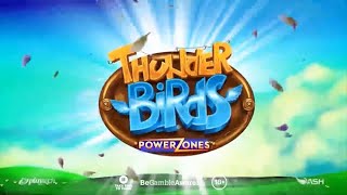 Power Zones™: Thunder Birds screenshot 2