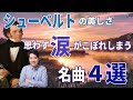本当に美しいシューベルトの世界！思わず涙がこぼれてしまう美しい名曲4選！どうしてシューベルトの美しさは特別なのか？