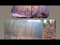 First official for the 20232024 deer season alabama public land ep1