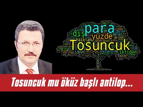 Arslan BULUT 🎧 Tosuncuk mu öküz başlı antilop sürüsü mü?   - Sesli Köşe Yazısı 5 Temmuz 2021