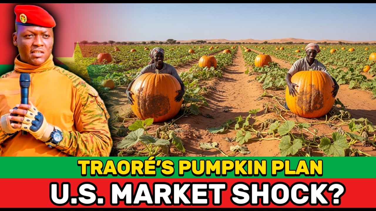 Что на самом деле стоит за планом Траоре по выращиванию тыкв на 300 000 гектарах в Сахеле — продо...