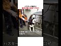 ハスキーと柴犬の魅力を並べてみた結果ｗｗｗｗｗ