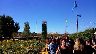 KIds Zipline 2017 Fall Live Oak Pumpkin Patch