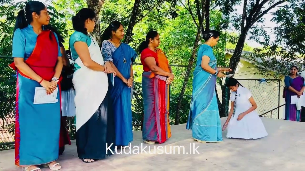 Second Term Progress Report Distribution 