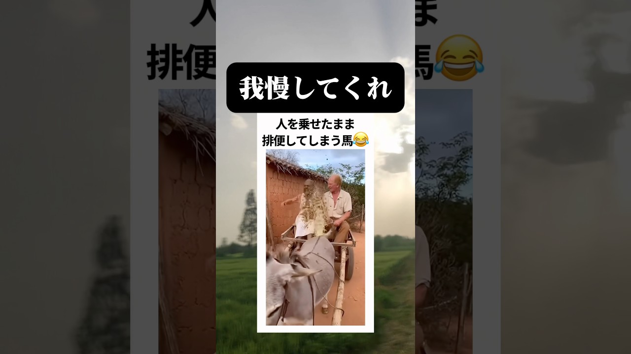 勢い良過ぎる笑笑 #shorts #memes #funny