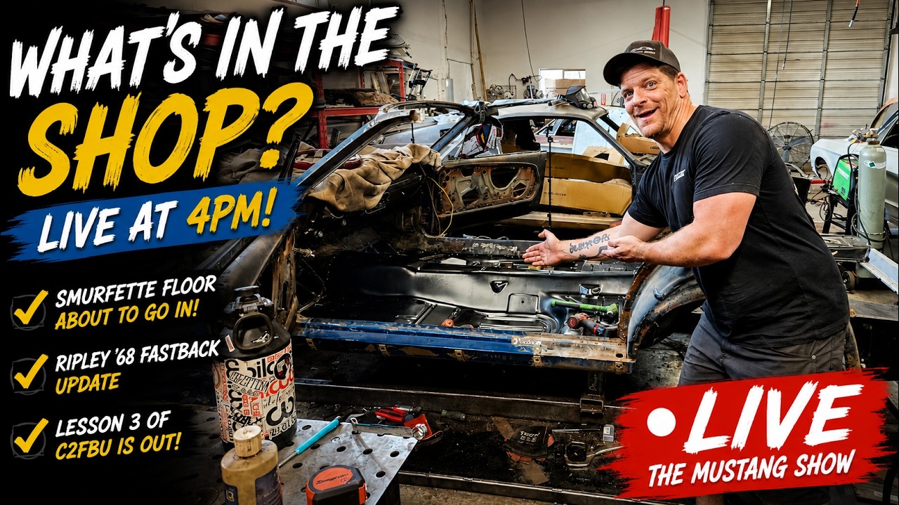 👀 Smurfette Gets a Floor, Ripley Update & Lesson 3 is LIVE! The Mustang Show!