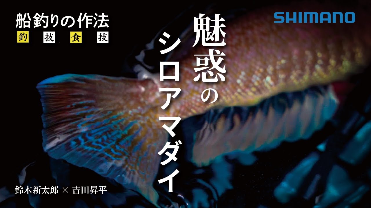 船釣りの作法＃37～釣技食技～和歌山のシロアマダイ　吉田昇平/鈴木新太郎