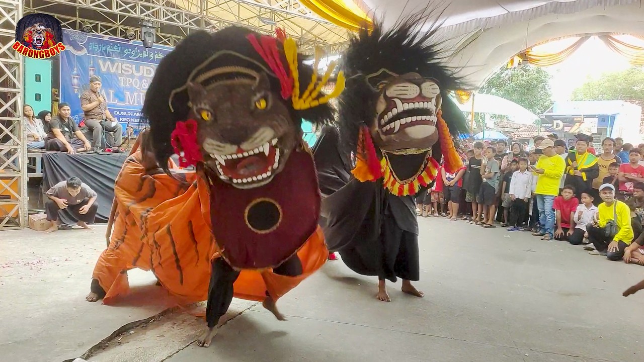 ATRAKSI BARONGAN GALAK NGAMUK | Barongan Sri Mulyo Adi Ketitang | BarongBoys