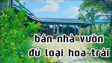 chú hải cần tiền giảm giá để bán nhanh nhà vườn đủ loại cây trái ở châu đức bà rịa vũng tàu