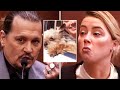 Old Instagram Photo REVEALS Amber Heard's Lies