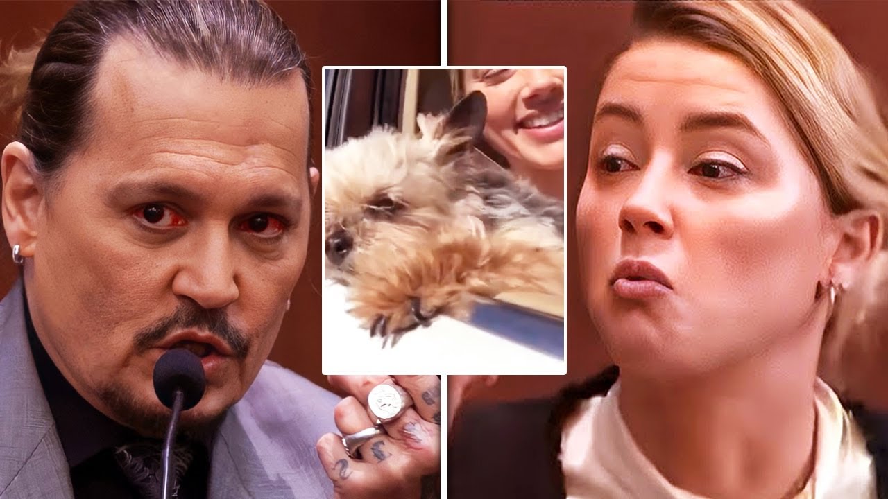 Old Instagram Photo REVEALS Amber Heard's Lies